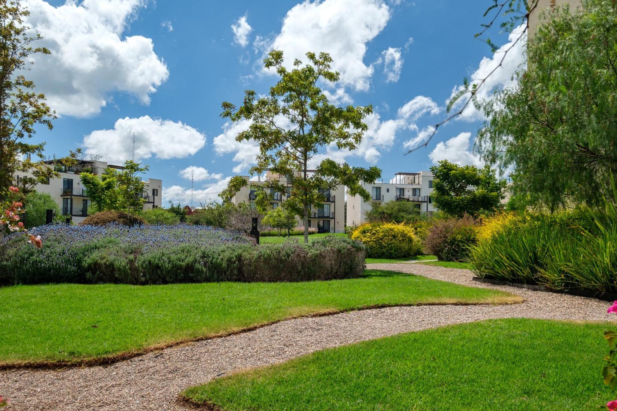 Casa Itzae La Luminaria Dog Friendly Apartment San Miguel de Allende Exterior photo